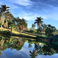 �ƻ��������ӣ���ǰ�����������ĳ�ס��