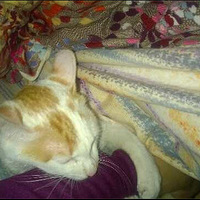 [����װ��]+����