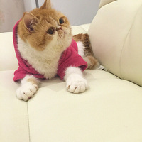 ɹɹ���Ǽҵ�Ů�����ˣ�