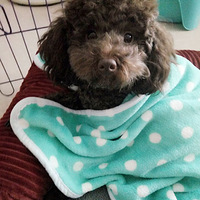 ������װ����������������������