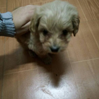 ��ʥ�ɳ���¼��Ƭ     2015.12.10  ������