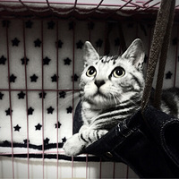 ë�ߵ���˯���ˣ���ţ�п����˵���2.0��