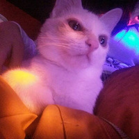      ���ء����������Ľ��ࣩ