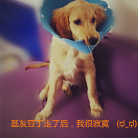 ��ë����̸����