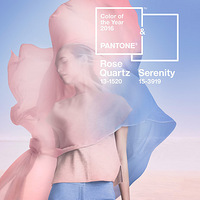  2016�꣬�����������ɫ��