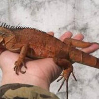 �ͷ���~~~�����ҵ�������﷢����~~ɹɹ��������~~~