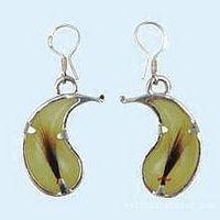 ɹɹ��Ҷ�����̥ë����Ʒ��