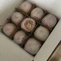 ��ƻ������Ƣ��θ��ƻ��ƻ�����������ݡ�