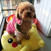 ׷׷����Ƥ���������ʲô��ʲôԹ