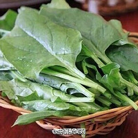 ��4��Ӫ����谮�۾�[��]����ӵ����������