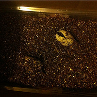 ��������顿�ӵ���ʼ��