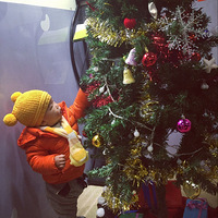 ��Merry christmas��ʥ��������+ʥ�������Ҳ������ˣ��Լ���