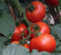 ����ȥ3000����ֻΪ��ͯ���һ������@#�л�ũ�����ڼ���