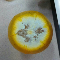 ��ΰ����ӡ� ��֤���������������֣�����