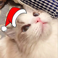 ���˽��ʥ��ñ����ɶ���Դ�5ë��Ч��