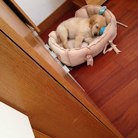 ��������顿������ͷ������