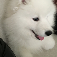 �����ǰͶٵ�һ��ϴ�裬����ϴ��Ĵ��˵ 