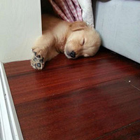 ��������顿���С���ĶԱȡ���