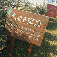 ���ݴ������������ף����������Ҿ�������