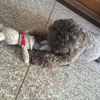 �ҽ��Ÿ���