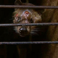 èʺ���ȣ���ʺ������治ֵ��ô��Ǯ��