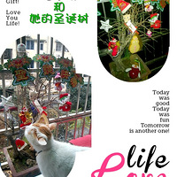 ��С�Ⱥ��ҵ�ʥ����