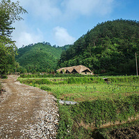 ס���ʦ�ķ��ӣ������ֵ���