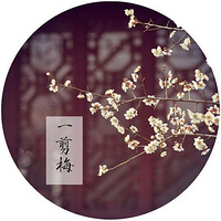 ���й��硿������