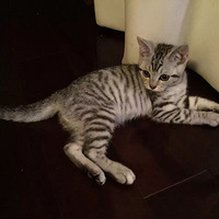 ��������顿�Ҽ����޴��������˶���