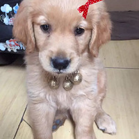 ���а���