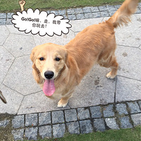 �Թ��գ�����â������