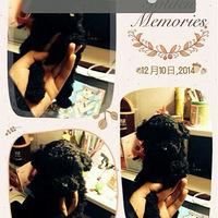 �ۼҵ�С��椱������