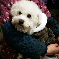 �����ˣ���Ҫ���޴��·��������ˣ������Ҳ��ᶯ��