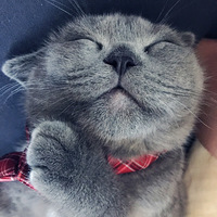 ��С��Ҵ�С�ȵ����������