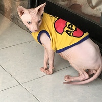 ɹ���ҼҴ���luiz����������̫�ѣ���