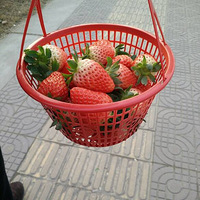 ���⿪�ĵģ���Ц�ĺ���