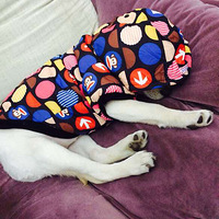 �ʹ�绥���·���һ����������Ҹ�