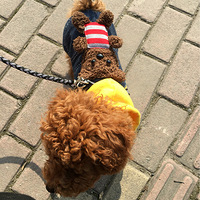 ��һ�γ���