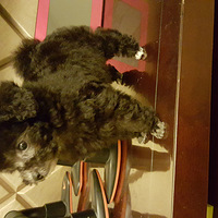 ������С�ҹ�¶����