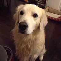 �������ݣ��ع⣬����������Ҫ�����ҹ�ѧѧ��ô���ˣ�