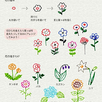 [���ȼ�ʻ�