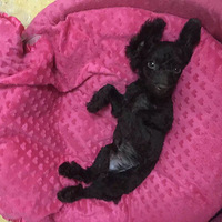 �����ҳ����Ұ��㵽�ϡ�