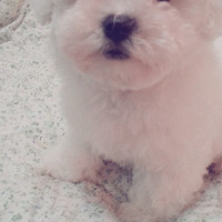 ��������顿�������벻�������Ǳض���������