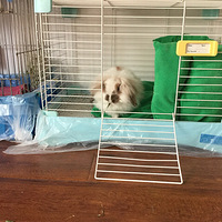 �Դ����������Ժ��Ҽҵĵ�����Ҳ������