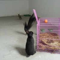 ���ǿ�ԽС����