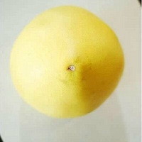 ���������Ӳ�̳̳�¯��