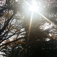 �����������ൺ��  