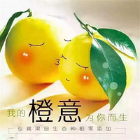 �����������Żݴ���