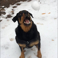 ���ˣ�����ô�����㡣����������������Ӱ��