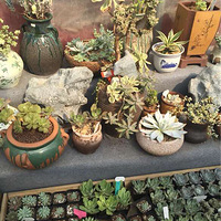 �Ұ�������